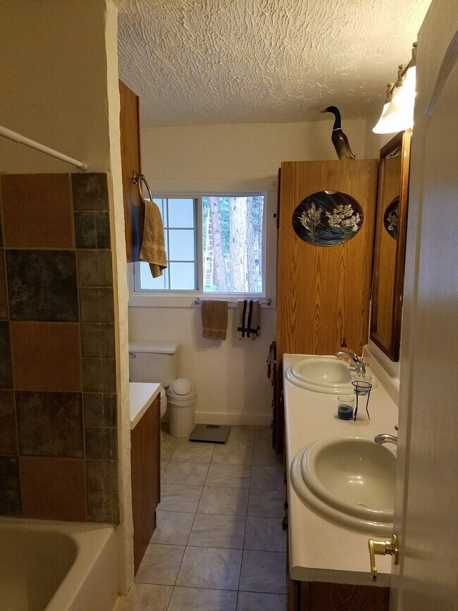 Large bathroom - 8278 Green Tower Ln