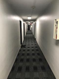 Foto del edificio - 2 bedroom in Philadelphia PA 19141