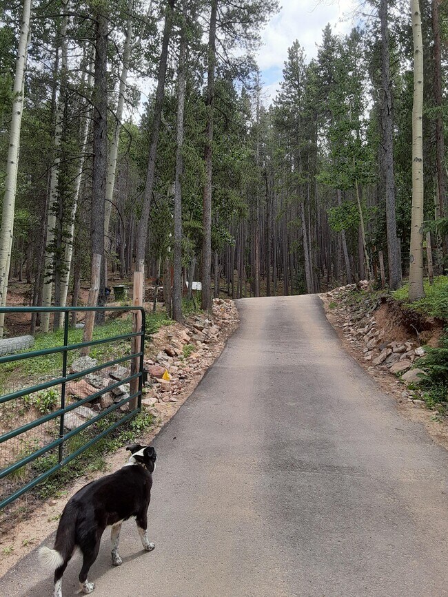 97 Pawnee Trl Unit Garden Level Apartment, Evergreen, CO 80439 97