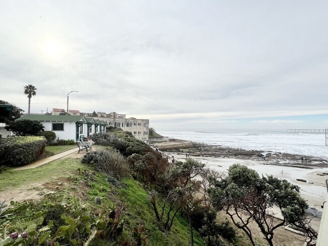 Building Photo - OCEAN BEACH STUDIO COTTAGE
