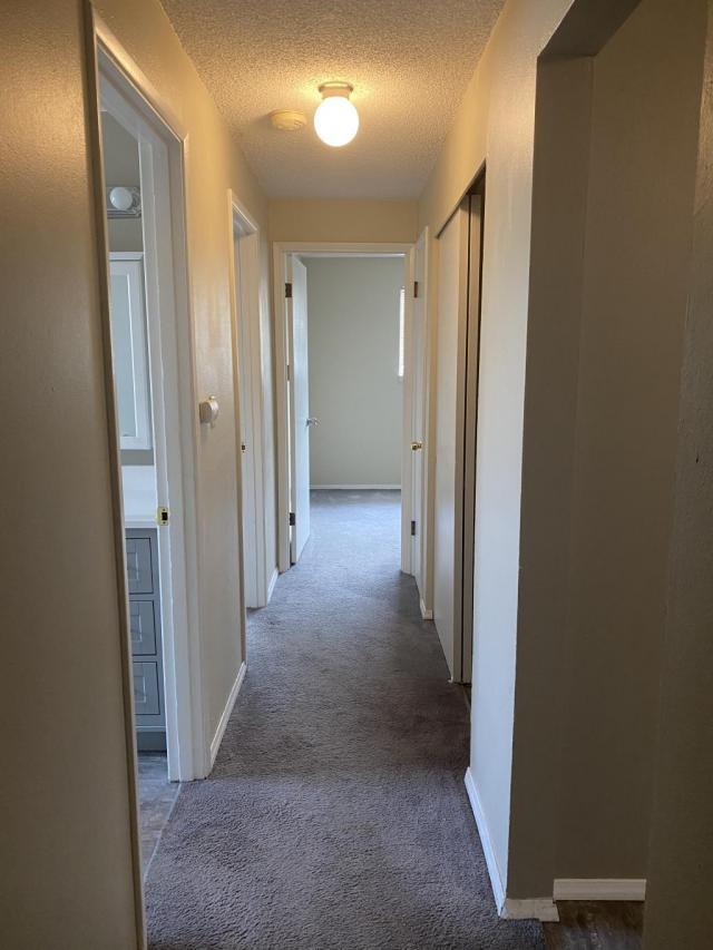 Foto del edificio - 3 bedroom in Seattle WA 98122
