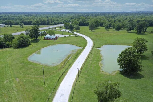 Foto del edificio - 283 Wood Fern Dr