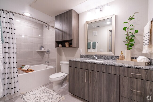 Interior Photo - Domain Town Center
