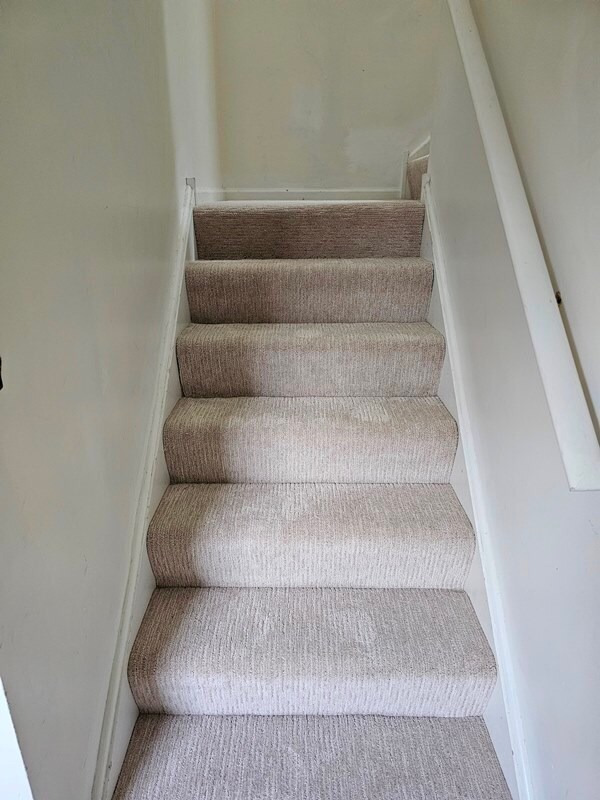 Foto del edificio - 2219 Waterleaf Ct