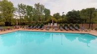 This single-level facility offers two distinct areas designed for comfort and functionality. The centerpiece is a generously sized outdoor swimming pool with crystal-clear turquoise water, surrounded by a tan concrete pool deck. A row of sleek charcoal lounge chairs lines one side of the deck, providing ample space for relaxation. Neatly trimmed shrubs and potted plants add a touch of greenery, while tall light poles ensure the area is well-lit. A black wrought-iron perimeter fence encloses the space, beyond which a dense canopy of mature trees creates a natural, private backdrop.

Complementing the outdoor space are clean, modern restroom facilities. The restrooms feature a distinctive design with black subway tile wainscoting that runs along the lower half of the walls, creating a bold contrast against the crisp white upper walls. Stainless steel fixtures, including a wall-mounted sink, framed mirror, paper towel dispensers, and waste receptacles, give the space a polished, utilitarian aesthetic. Metal stall partitions provide privacy, and the flooring is finished in neutral gray tile. A rich dark wood-grain door with a silver lever handle adds a warm accent to the otherwise monochromatic interior, contributing to an overall atmosphere that is both practical and well-maintained.
