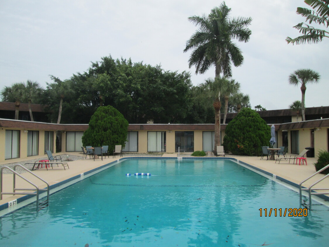 Resort Size Pool - 205 Palmetto Ave