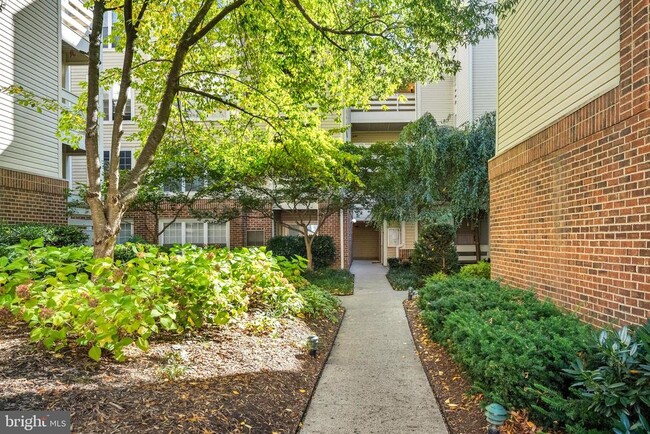 Building Photo - 240 S Reynolds St