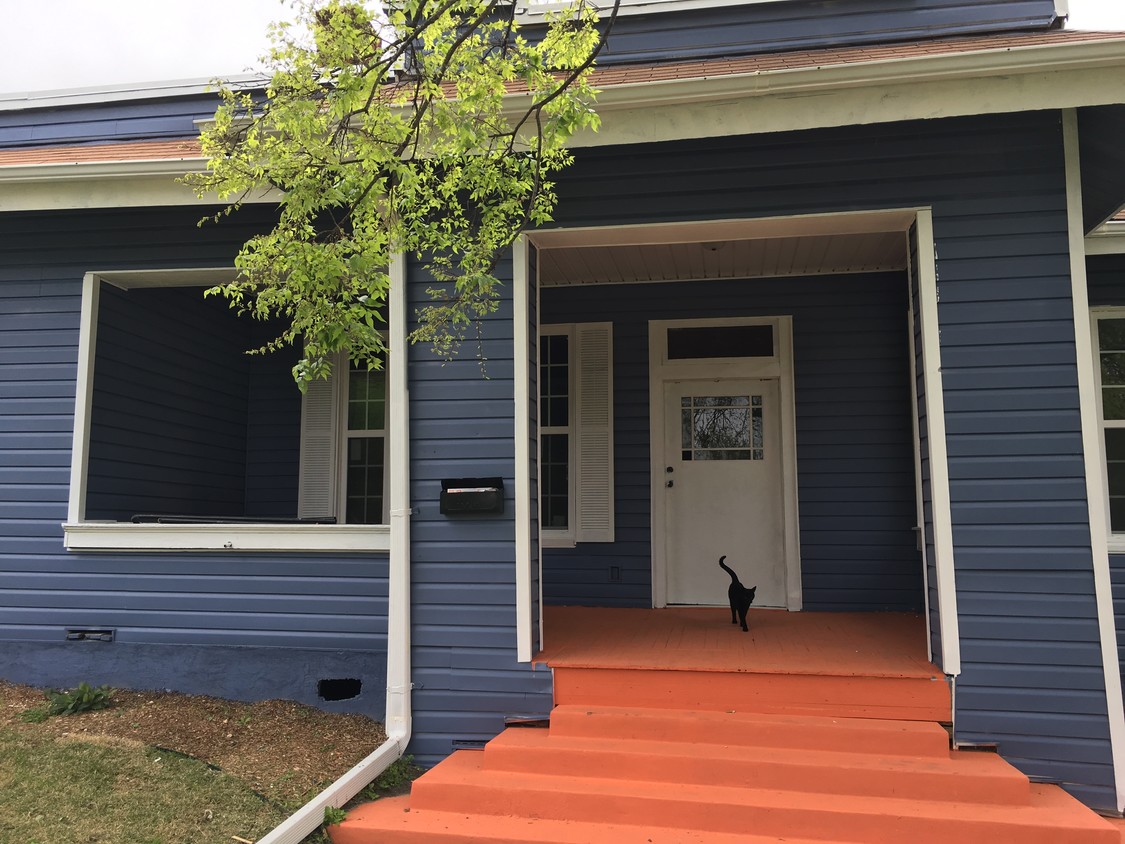 1002 W Mulberry Ave, San Antonio, TX 78201 House Rental in San