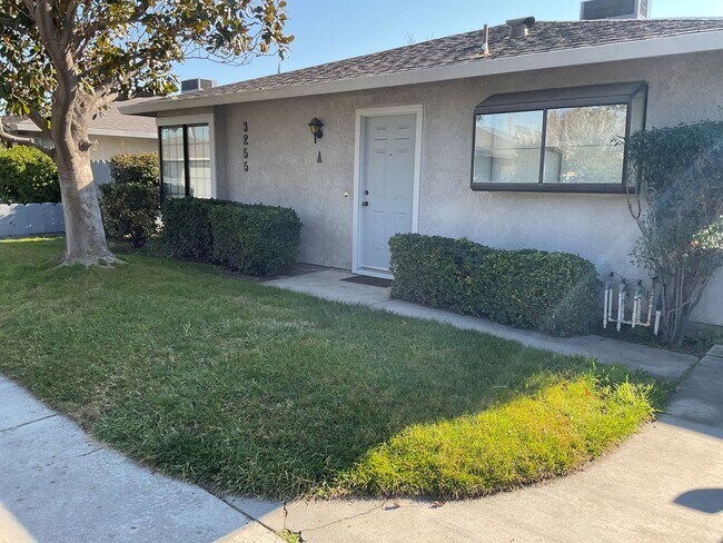 Foto del edificio - Look no more