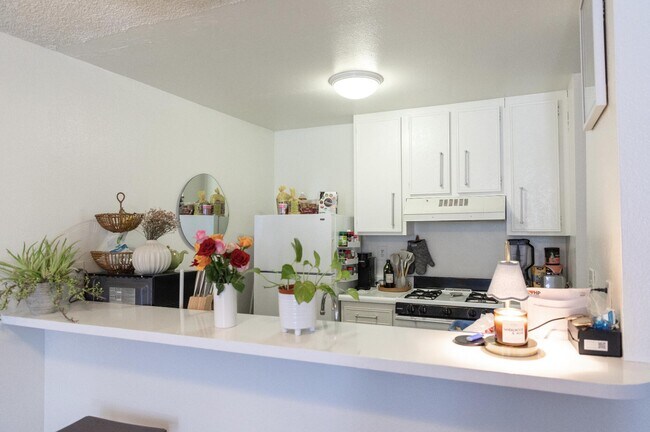 Building Photo - 1400 E Palm Canyon Dr