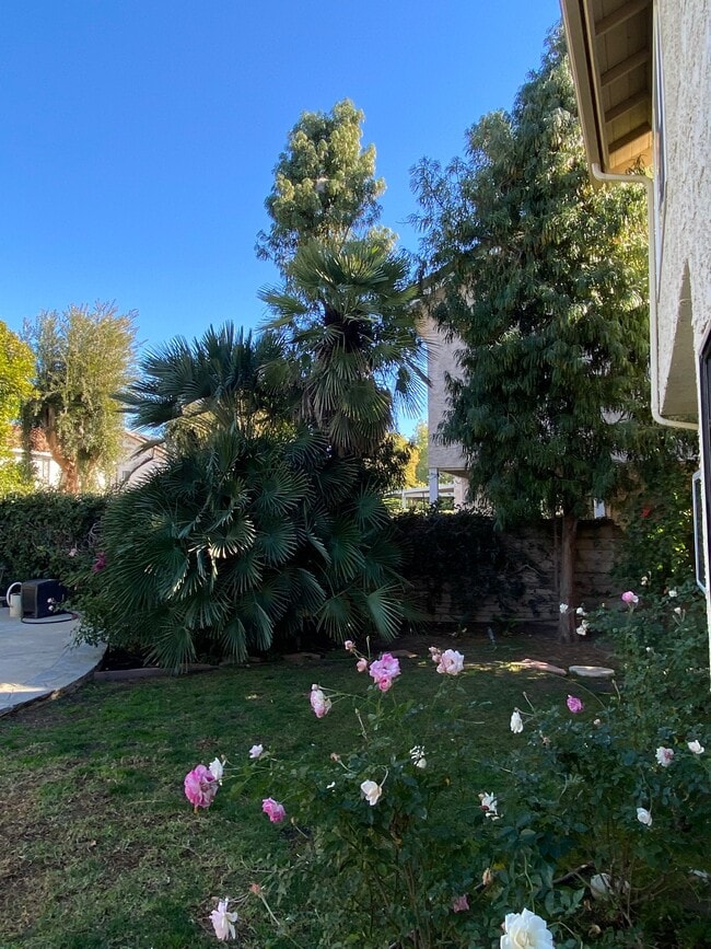 backyard - 6044 Shadycreek Dr