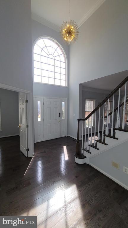 Building Photo - 10754 Blaze Dr