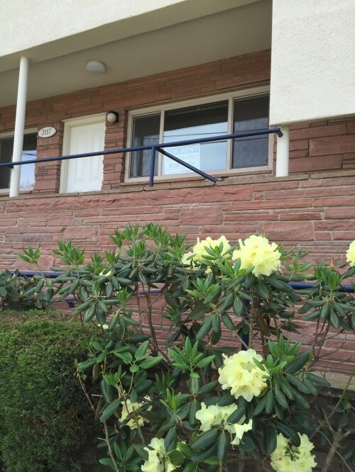 Primary Photo - Magnolia Raye - 1 bedroom