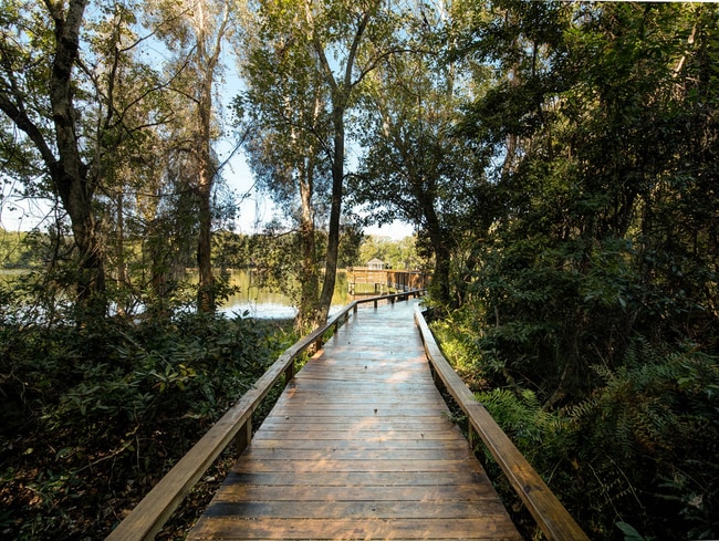 Building Photo - Grande Oasis at Carrollwood