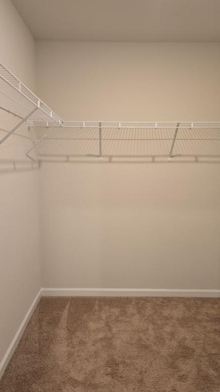 Building Photo - 4715 Hazelburn Dr