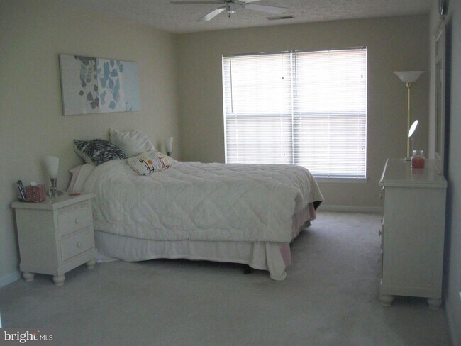 Building Photo - 2002 Phillips Terrace