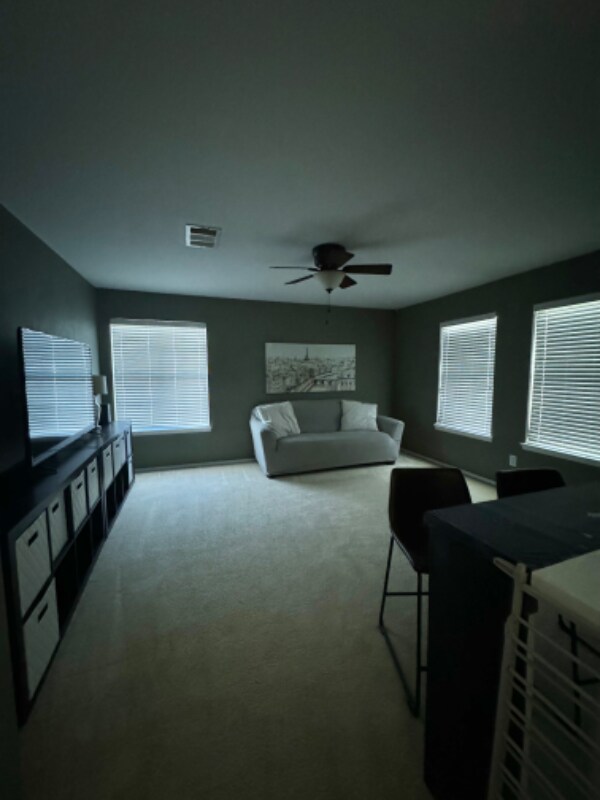 Primary Photo - 8 Stowe Springs Ln