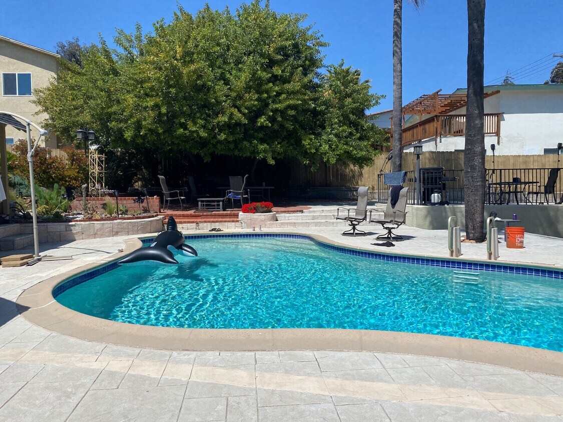 Primary Photo - 4920 Campanile Dr