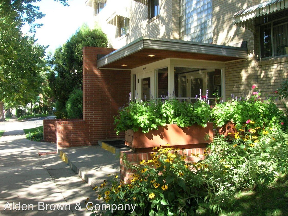 Primary Photo - 800 Ogden St