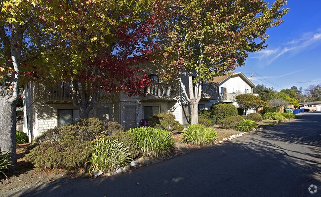 Building Photo - 3385 Mission Dr