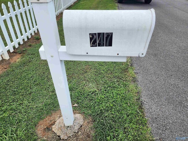 Foto del edificio - 247 Snow Dr