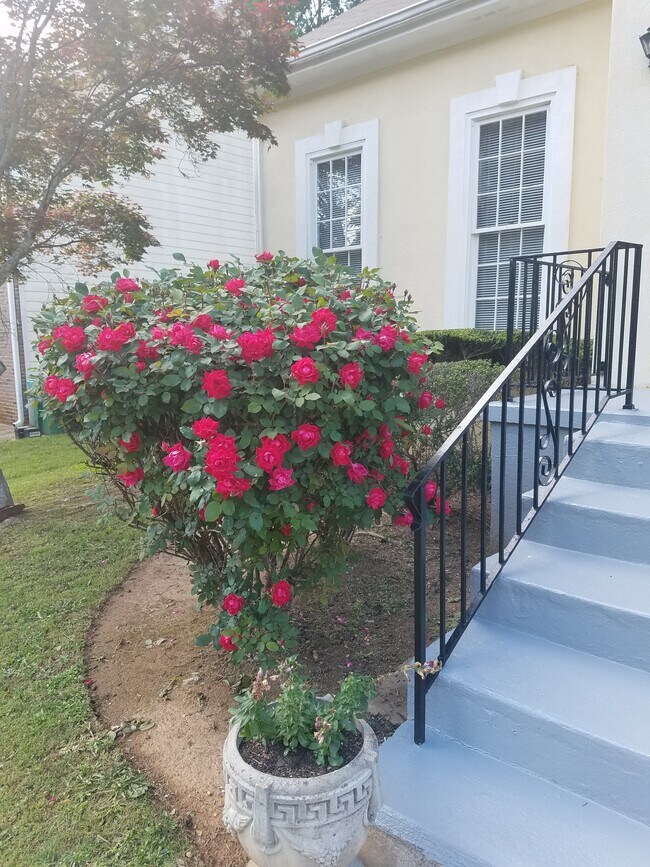 Foto del edificio - 3191 Palm Tree Dr