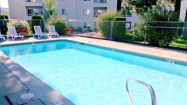 Pool - Beaumont & Biltmore Apartments