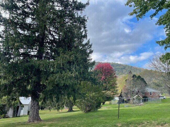 Foto del edificio - 627 Docs Ln