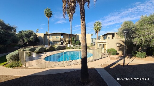 Foto del edificio - TUCSON - ROYAL ALVERNON