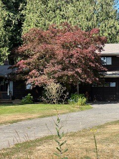 Foto del edificio - 8641 Berthusen Rd