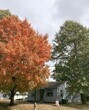 Primary Photo - 1408 W Carter St
