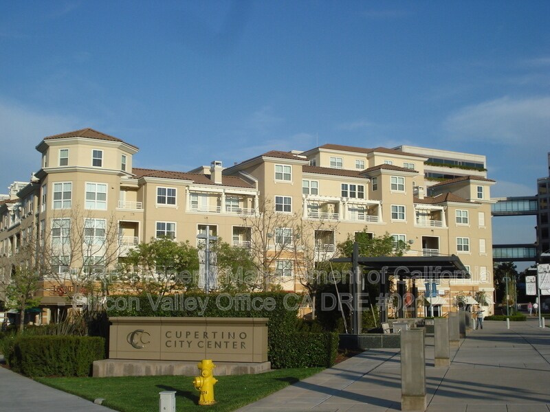 Foto principal - 20488 Stevens Creek Blvd