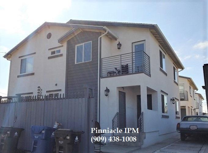 Foto principal - 416 1/4 E. 51st Street