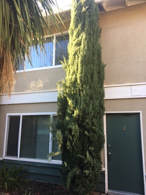 Front of townhouse - 1733 De Marietta Ave