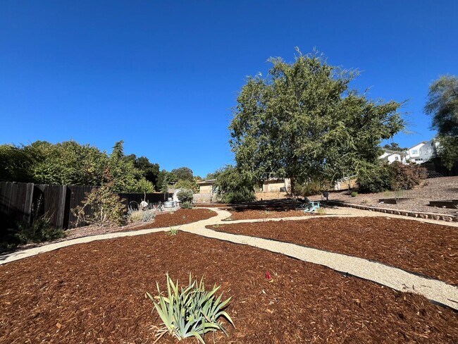Building Photo - Paso's Gem! Single level 4 Bedroom Lots of...