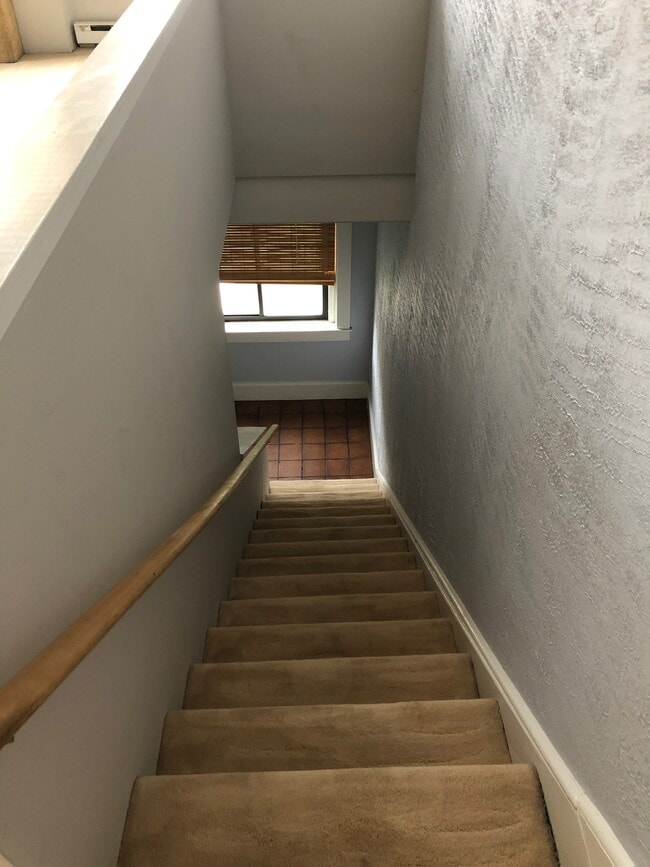 Carpeted Internal Stairway up to 3rd Floor - 367 Lehigh Ave