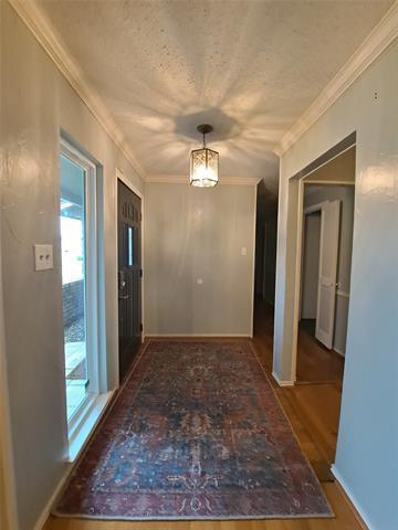 Building Photo - 1005 Harness Ln