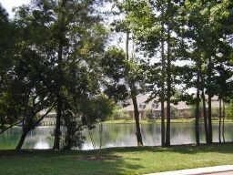 Building Photo - 82 N Magnolia Pond Pl