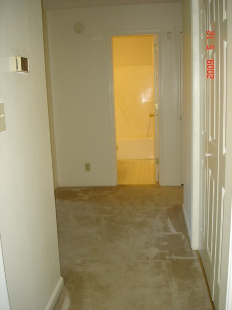 Foto del edificio - 3 Bedroom Pet Friendly Home For Rent Near ...