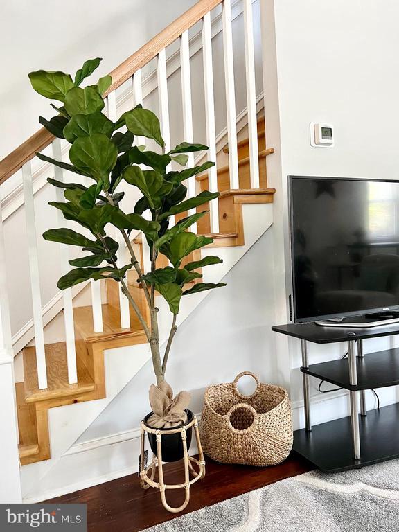 Building Photo - 12 Birch Ave