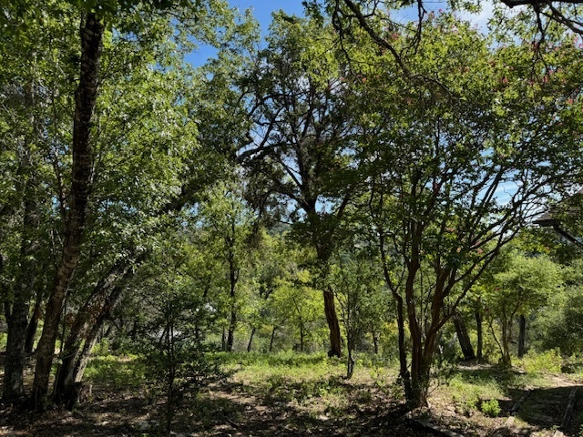 Building Photo - 1302 Wild Basin Ledge