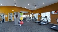This fitness center is designed to support a full range of workout routines in a bright and energizing environment. The space is defined by bold warm-toned accent walls that create an motivating atmosphere, complemented by neutral carpeted flooring that adds comfort underfoot. Recessed lighting and ceiling fans are installed throughout, ensuring the space remains well-lit and well-ventilated during exercise sessions. Large windows along the walls allow natural light to filter in, contributing to an open and airy feel. The cardio section is equipped with multiple treadmills and elliptical machines, each positioned for easy access and spaced generously to allow comfortable movement. Wall-mounted flat-screen TVs are positioned at viewing height for cardio users, providing entertainment during workouts. A dedicated strength and functional training area features a multi-station cable machine alongside a rack of stability balls in varying sizes. A large floor-to-ceiling mirror spans one wall, enhancing the sense of space while allowing users to monitor their form. The overall layout is thoughtfully organized, offering clearly defined zones for both cardio and strength training within a single, cohesive space.