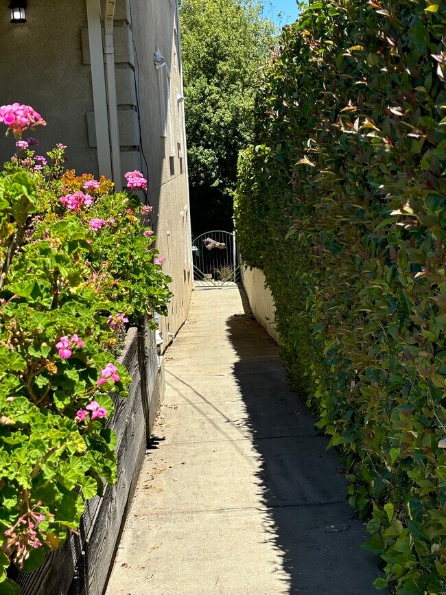 pathway to apartment - 4460 Stanford Ave