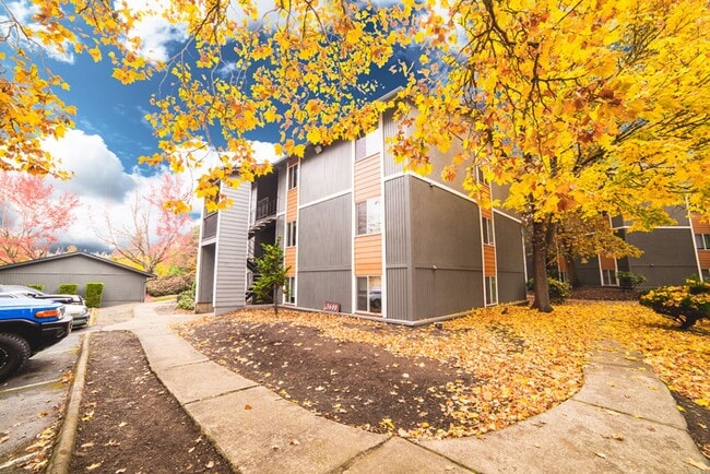 Interior Photo - #307 LYNMARIE APARTMENTS