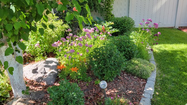 Foto del edificio - 807 Whisper Cove Rd