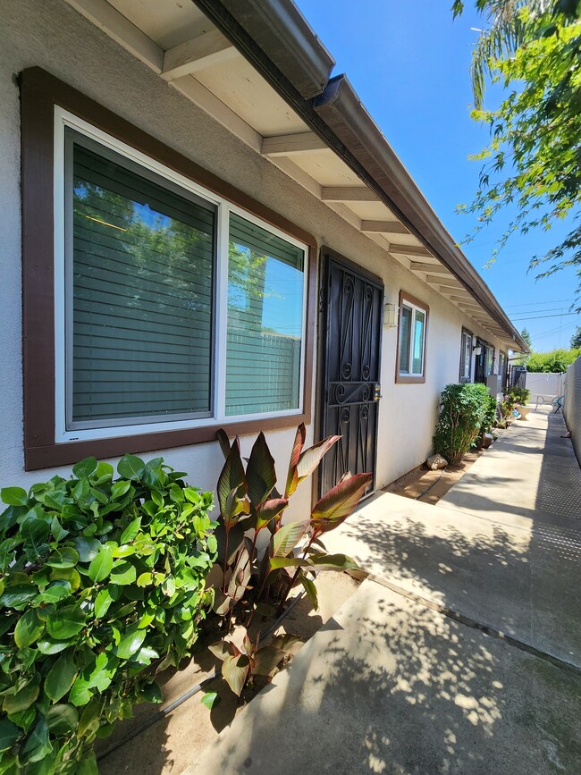 102 Outside East View - 508 Hawley Ave