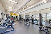 Located at 349 Decatur St SE in Atlanta's Grant Park neighborhood, this well-appointed fitness center offers a spacious, single-floor layout designed to accommodate a comprehensive range of workout activities. The open floor plan is anchored by durable rubber flooring throughout, providing a safe and functional surface for all types of exercise.

The strength training section is generously equipped with a variety of cable machines, weight stations, and free weights, including a rack of medicine balls in varying sizes. Full-length mirrors line the walls, amplifying the sense of space and allowing users to monitor their form during workouts. A bold yellow accent wall adds a vibrant, energizing touch to the interior design.

The cardio area features a row of treadmills and stationary bikes positioned alongside large windows that offer views of the outdoor pool and surrounding greenery, creating a bright and motivating environment. Mounted televisions provide additional entertainment for cardio sessions.

The ceiling is notably high, with exposed ductwork and industrial-style linear lighting fixtures that contribute to the facility's modern, urban aesthetic. Multiple access doors provide easy entry and exit throughout the space. Overall, the fitness center is thoughtfully designed to deliver a complete workout experience in a bright, well-lit, and visually open environment.