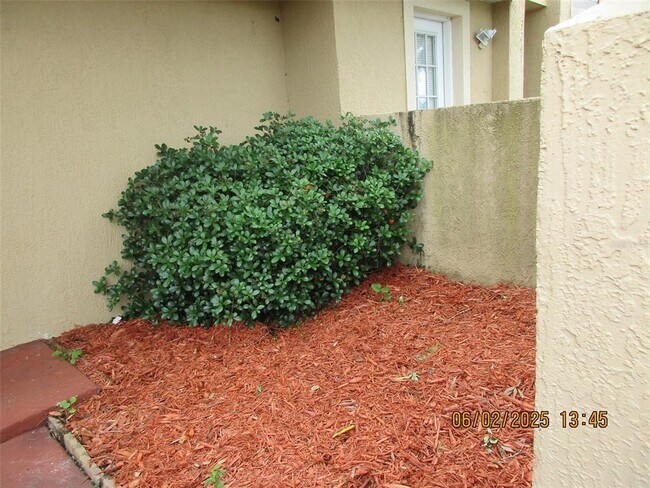 Foto del edificio - 3243 Sandy Shore Ln