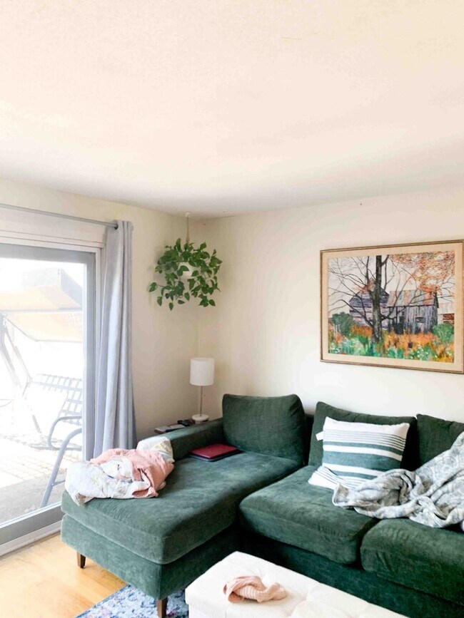 Foto del edificio - 2 Bed / 1 Bath Apartment – Webster Court, Amherst Available 6/8