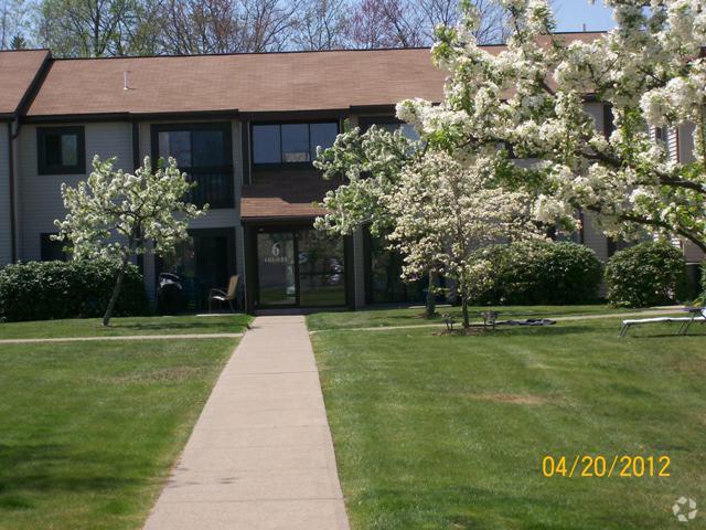 Building Entrance - Tall Trees